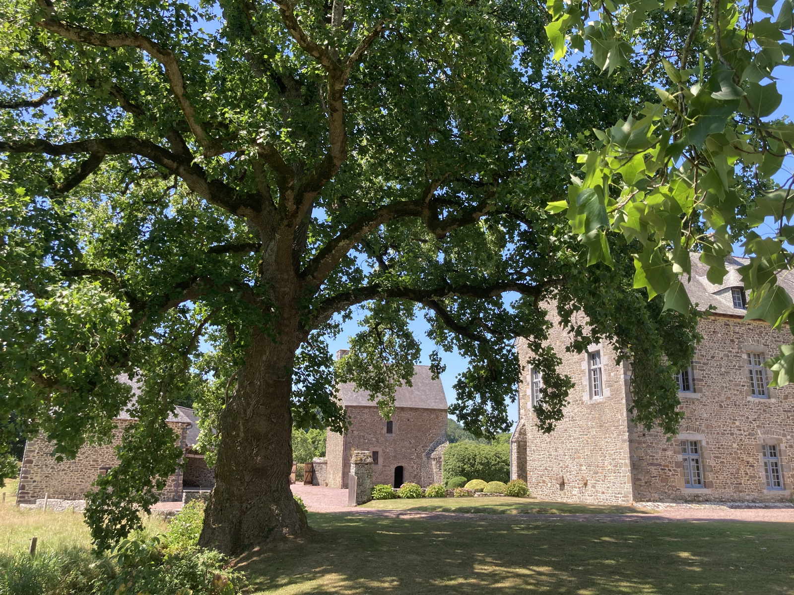 Tuin van de Abbaye de la Lucerne