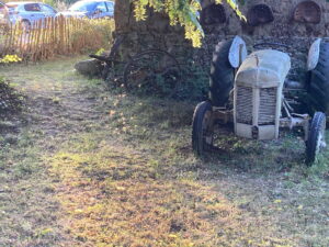 Een oude Ferguson in de tuin