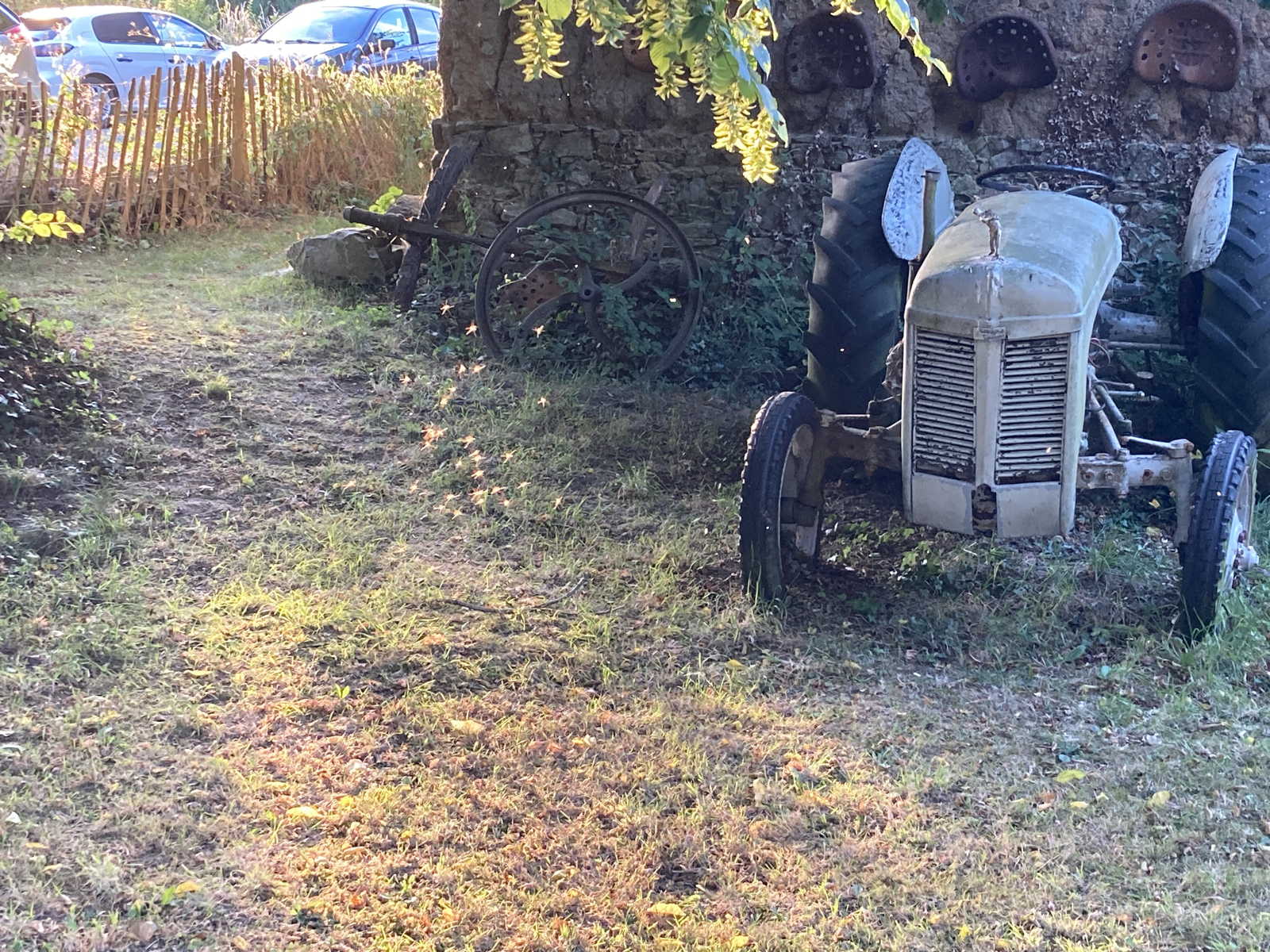 Een oude Ferguson in de tuin