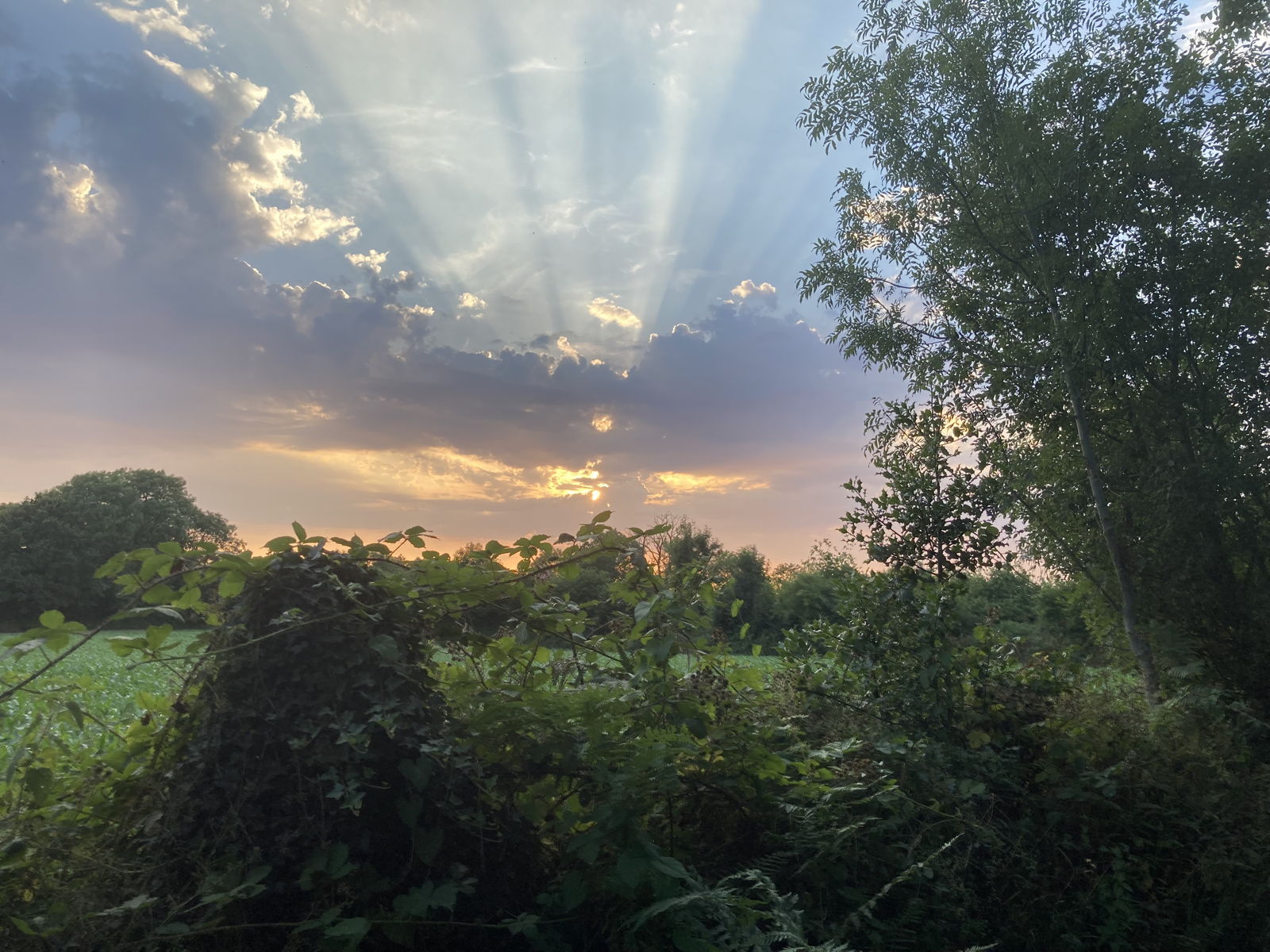 Een fraaie zonsondergang tijdens een wandeling