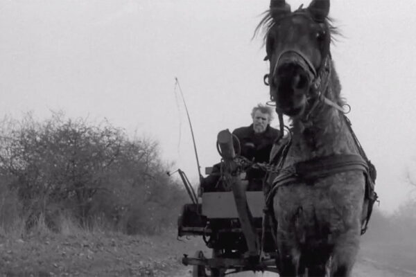 The Turin Horse - Béla Tarr