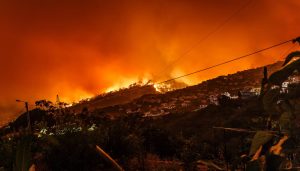 klimaatkriebels - bosbranden portugal